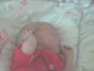 Zackary Brino